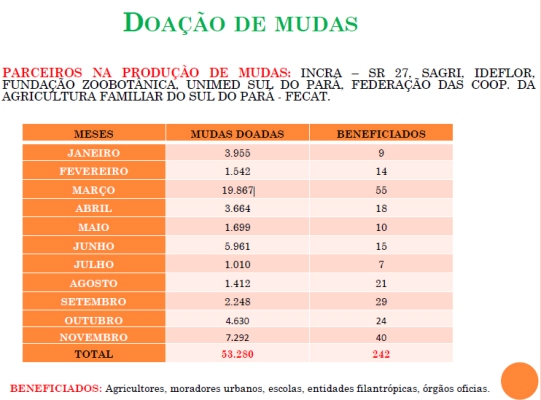 Doação de mudas