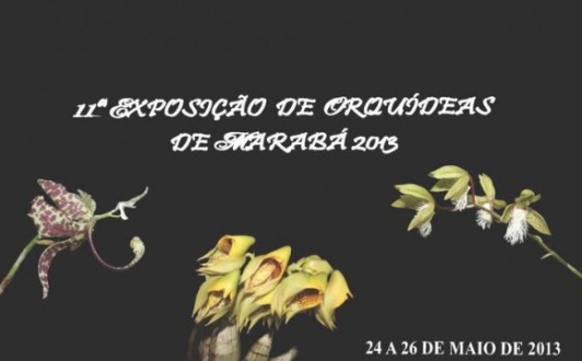 Expo Orquidea