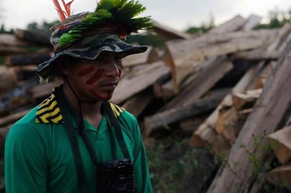 Indígena Kaapor passa por estacas de madeira retiradas proximo ao territorio indigena Alto Turiacu. (Foto: Lunae Parracho) 