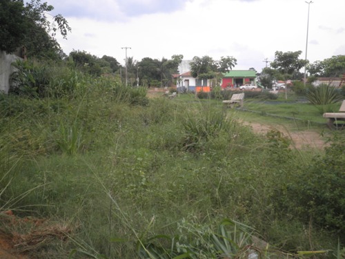 Praça de Vila União, antes da chegada da limpeza pública, coberta pelo matagal....