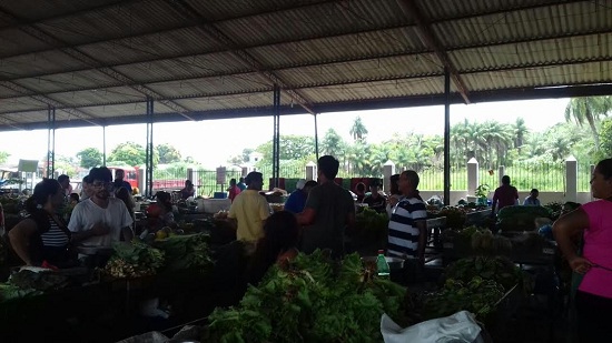 Feira dos Produtores disponibiliza doações