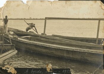 Professora Felipa, o eco da madeira e a memória de papel