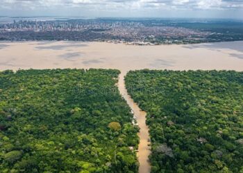 Belém, depois da COP30: visibilidade internacional e foco global