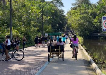 Jovem escapa da morte ao seu picado por cobra jararaca passeando no Parque do Utinga